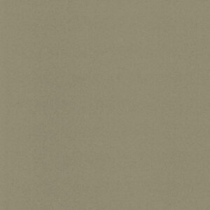 AP107_b Silber alux