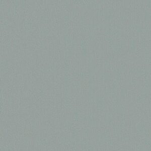 SAL-02 Grau